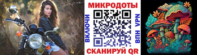 мориарти Telegram  Аксай  Псилоцибиновые грибы Psilocybine cubensis  цена  